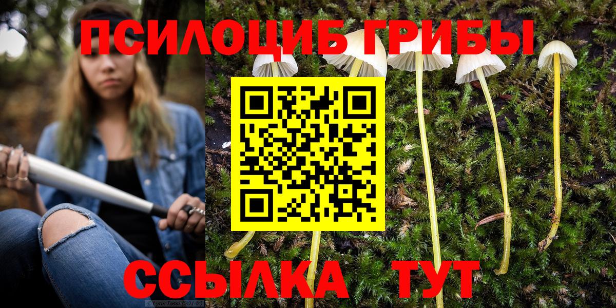 Псилоцибиновые грибы мицелий Ухта